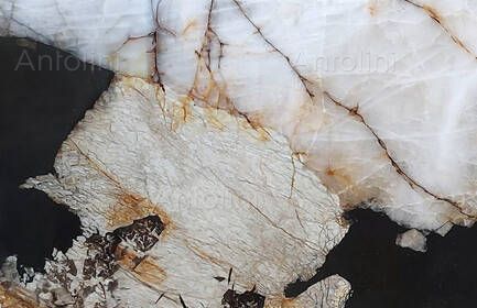 PATAGONIA VITRUM NOIR