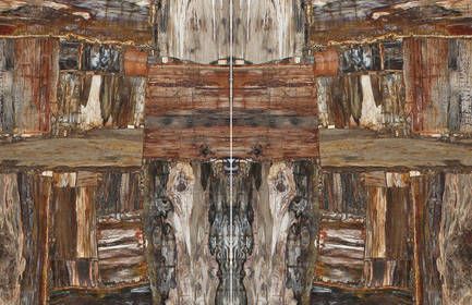 RETRO BROWN PETRIFIED WOOD