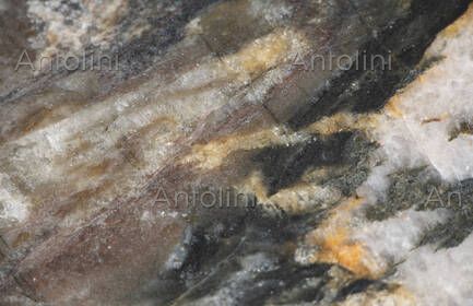 WILD BRONZE QUARZITE